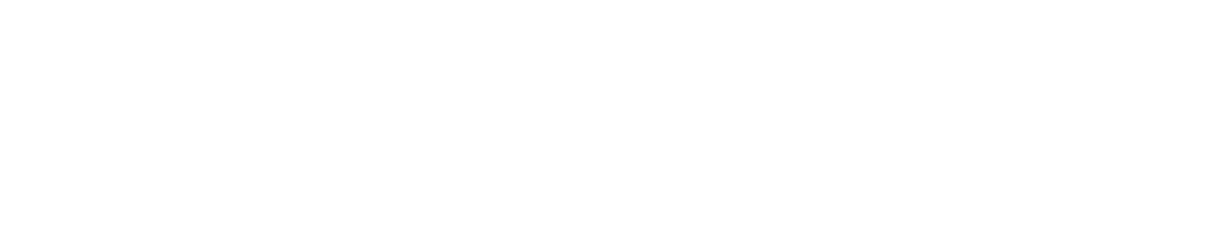 DriveLock